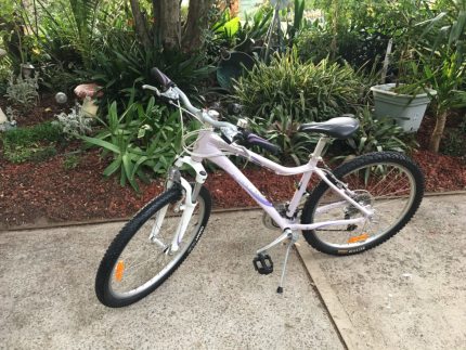 Mountain bikes gumtree hotsell
