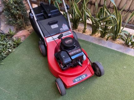 Rover pedigree lawn cheap mower