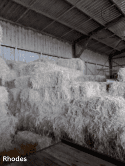 Grassy Lucerne and Rhodes Hay for Sale