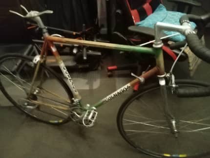 Colnago gumtree online