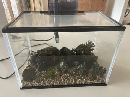 Used fish outlet tanks