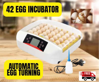 42-Egg Incubator Practical Fully Automatic Poultry Incubator with Egg  Candler US in Stock Fast Shipping 