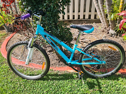 repco brook bike