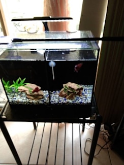 imagitarium betta trio aquarium kit 28l