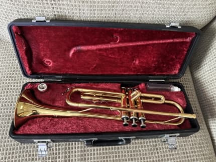 Trumpet gumtree deals