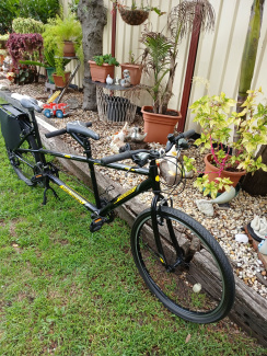 Gumtree tandem bike deals