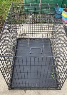 chihuahua cages for sale