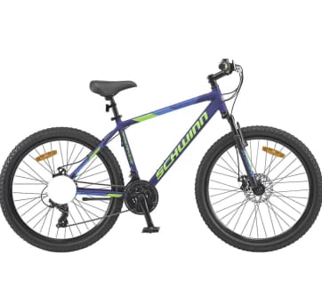 Schwinn mozo online m30