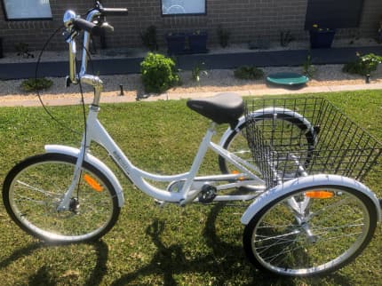 royal blue beach cruiser